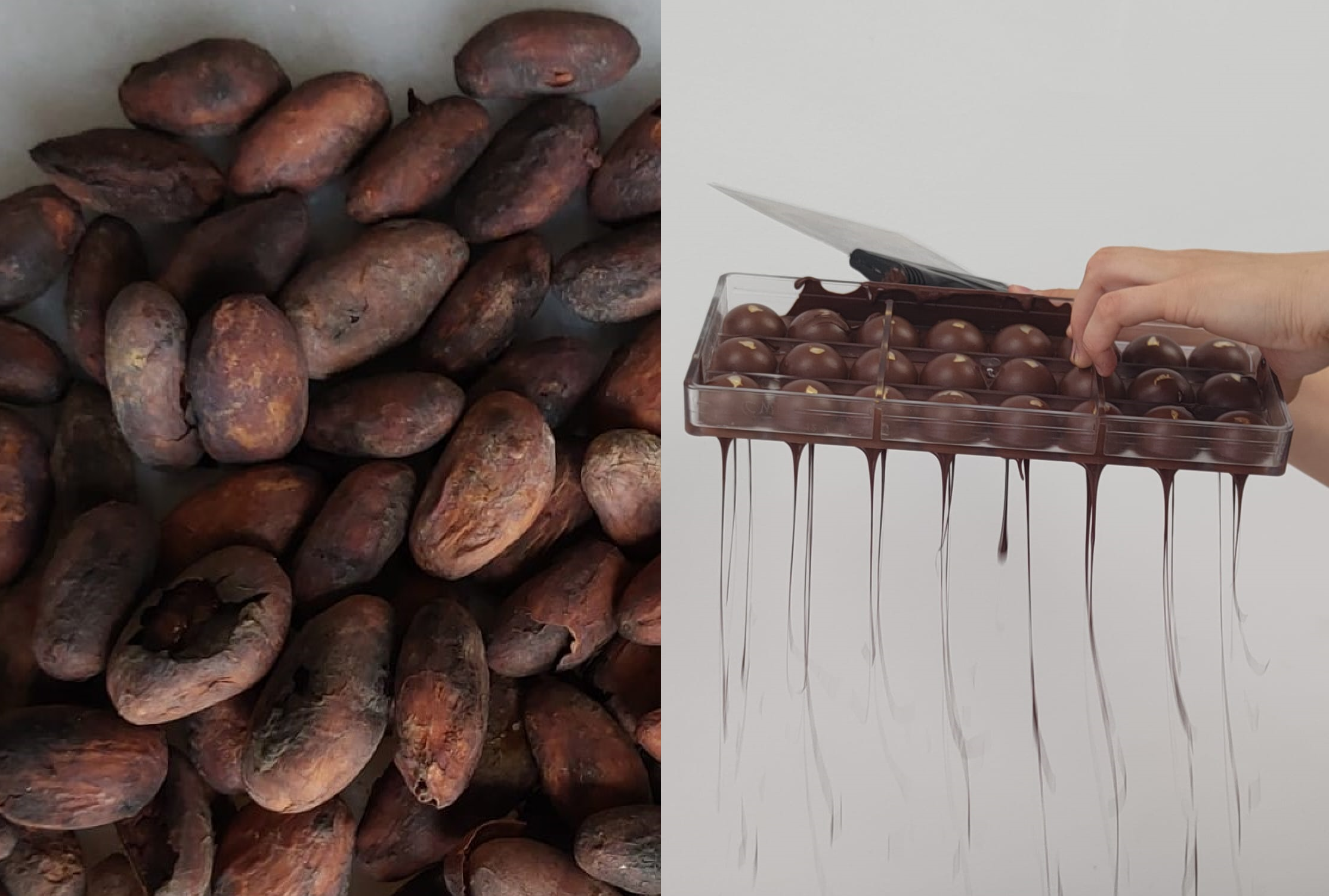 Chocolatier vs. chocolate maker